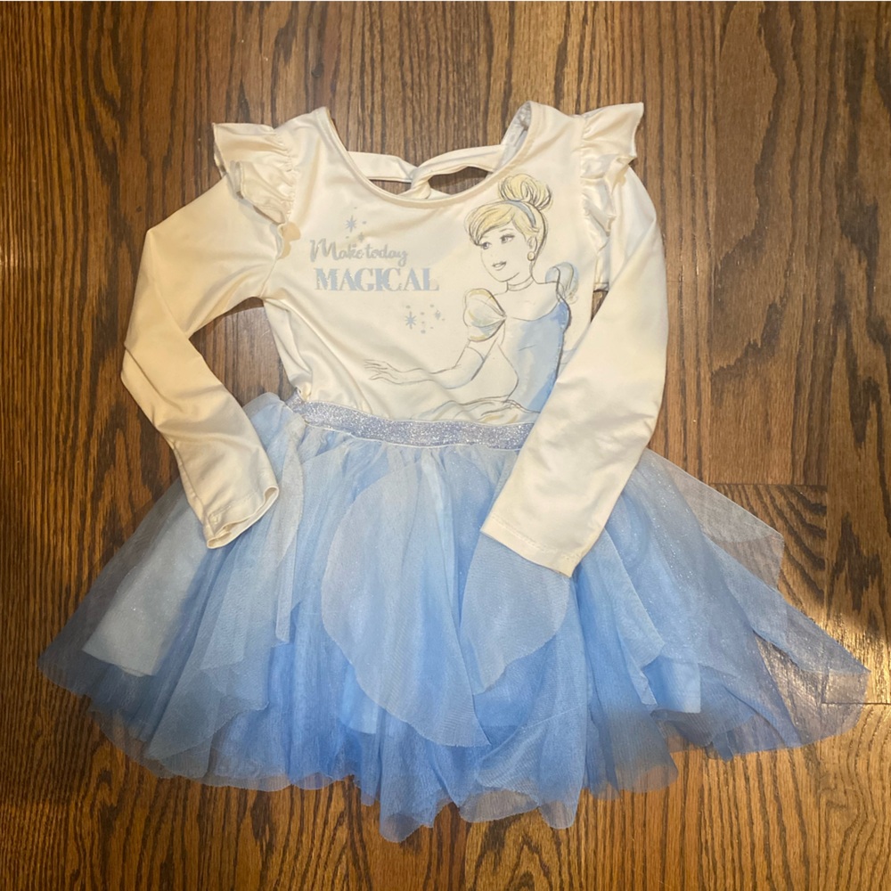 Cinderella Dress